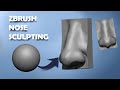 Zbrush NOSE Sculpting tutorial