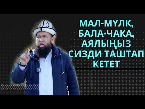 Video: Кичинекей мүлк боюнча ырастаманы кайдан алсам болот?