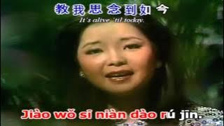 [Kara pinyin   Chinese   Engsub] The moon represents my heart | 月亮代表我的心 - Deng Li Jun