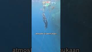 Samudra Hindia Terdalam di Dunia #Shorts
