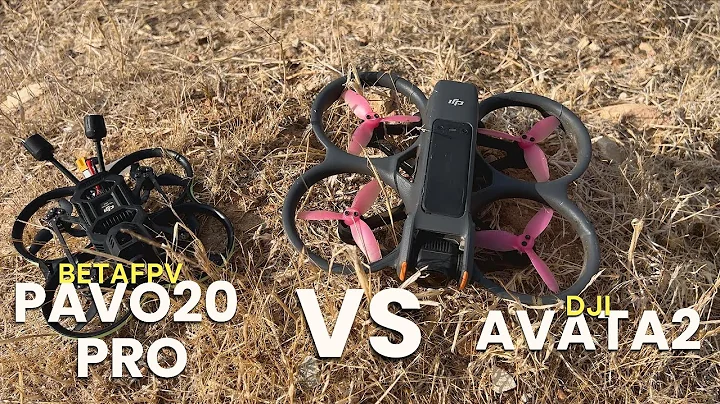 PAVO20 Pro vs Avata 2 | Is the Cheaper Drone Actually Better?