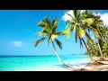 Beach party music  tropical mexican beach  relax work study  ambience