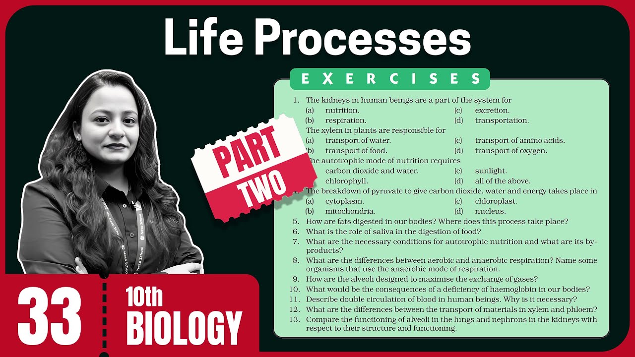 Life Processes - Exercises (Part 2) - YouTube