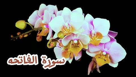 سورة الفاتحه.  القارئ رعد الكردي. مقام الرست