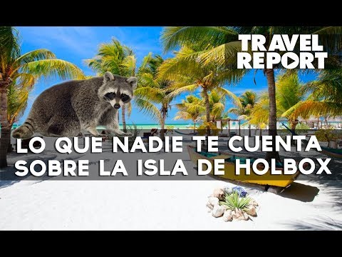 Lo que nadie te cuenta sobre la isla de Holbox