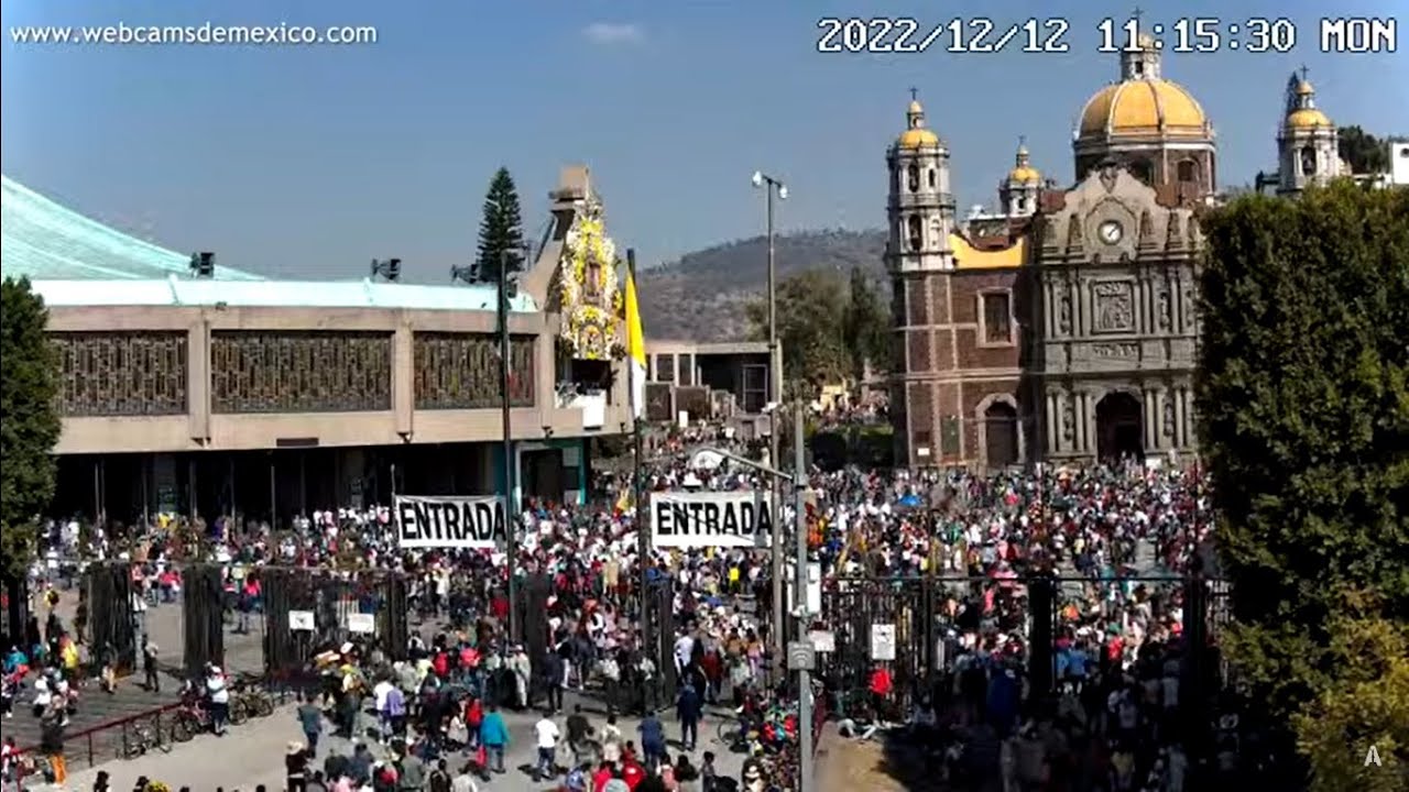 #CDMX I Basílica de Guadalupe, Ciudad de México, en vivo