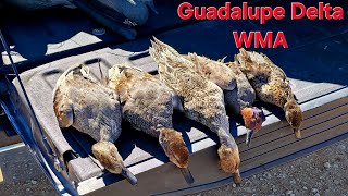 Download Lagu WIND Almost Ruined the Hunt! MP3