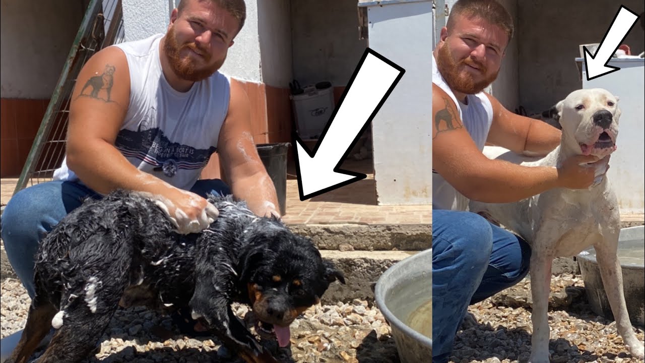 TYSON VE SOFİAYI YIKADIM PRENSESİN SON DURUMUNA ÇOK ŞAŞIRACAKSINIZ!