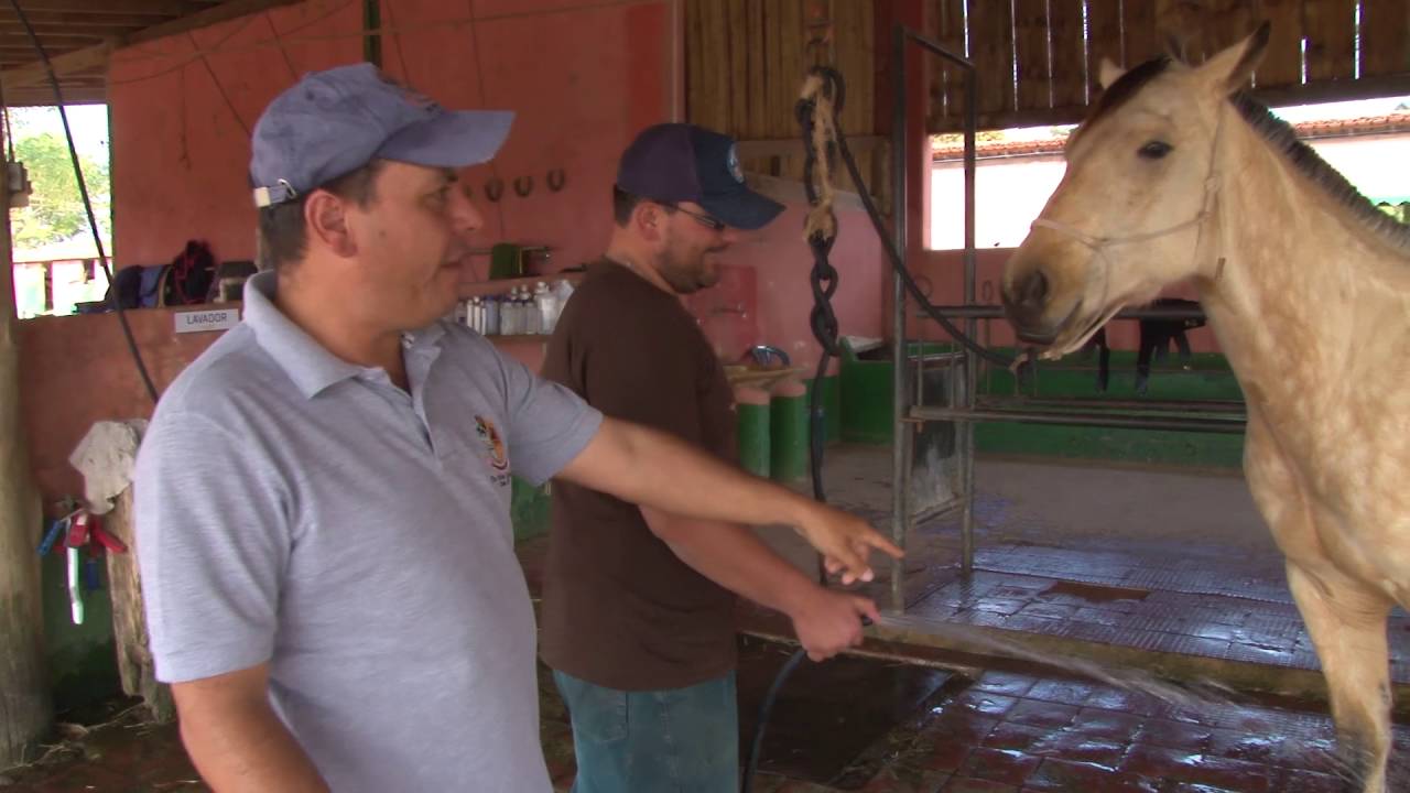 TV UC - Como Iniciar o Banho