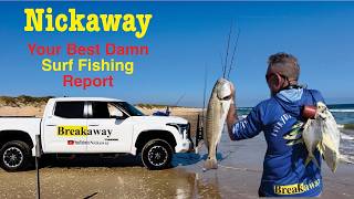 Your Best Damn Surf Fishing Report 05–06-26