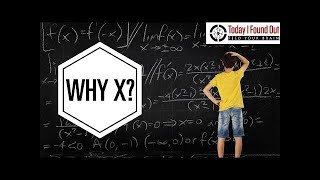 Why is 'x' the unknown? | Terry Moore Net Worth