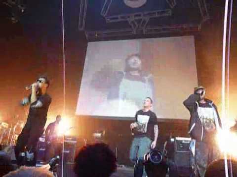LMF-The Wild Lazy Tour 2010