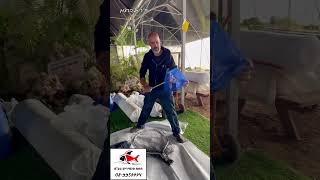סקירת רשתות לבריכת דגים 08-9957774