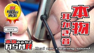 ASMR 本物の耳かき音part7 ステンレスミミカキをカスタマイズ Real Ear Cleaning Sound no talking