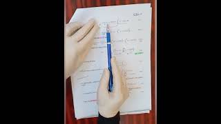 Converting BVP to Fredholm Equation  *Asia Al Titi*sec 1.6Groub5