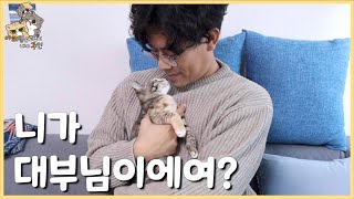 고양이 대부님이 놀러오셨습니다.