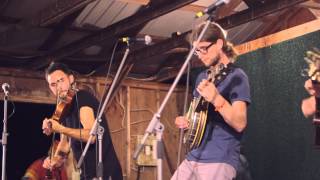East Pointers - Woodfordia chords