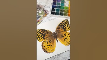 Two year update on my palette! #gouache #painting #gouachepainting