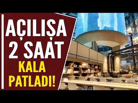 Video: Sanctuary Island: Sokotra'nın İnanılmaz Florası