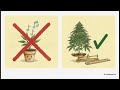 Demystifying Science