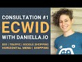 Ecwid eCommerce Consultation 1 [SEO, Traffic, Google Shopping, Horizontal Menu, Shipping]