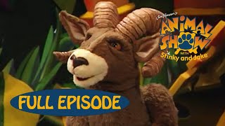 Animal Show | Bighorn Sheep 🐏 / Red Deer 🦌 | Jim Henson Family Hub