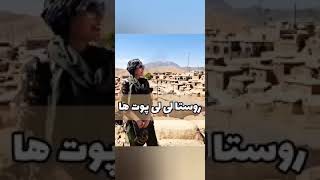 سرزمین لی لی پوت ها در ایران