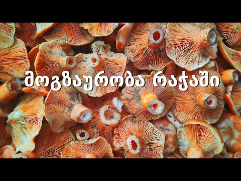 მოგზაურობა რაჭაში