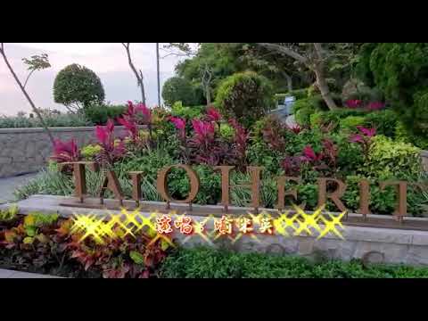 喻米英🎤一剪梅 2020/04/27