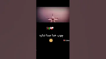 چوب خدا صدا نداره 