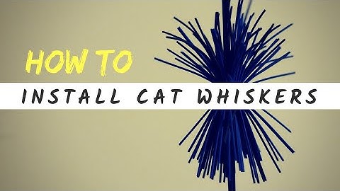Cat Whiskers Bow String Silencers Install