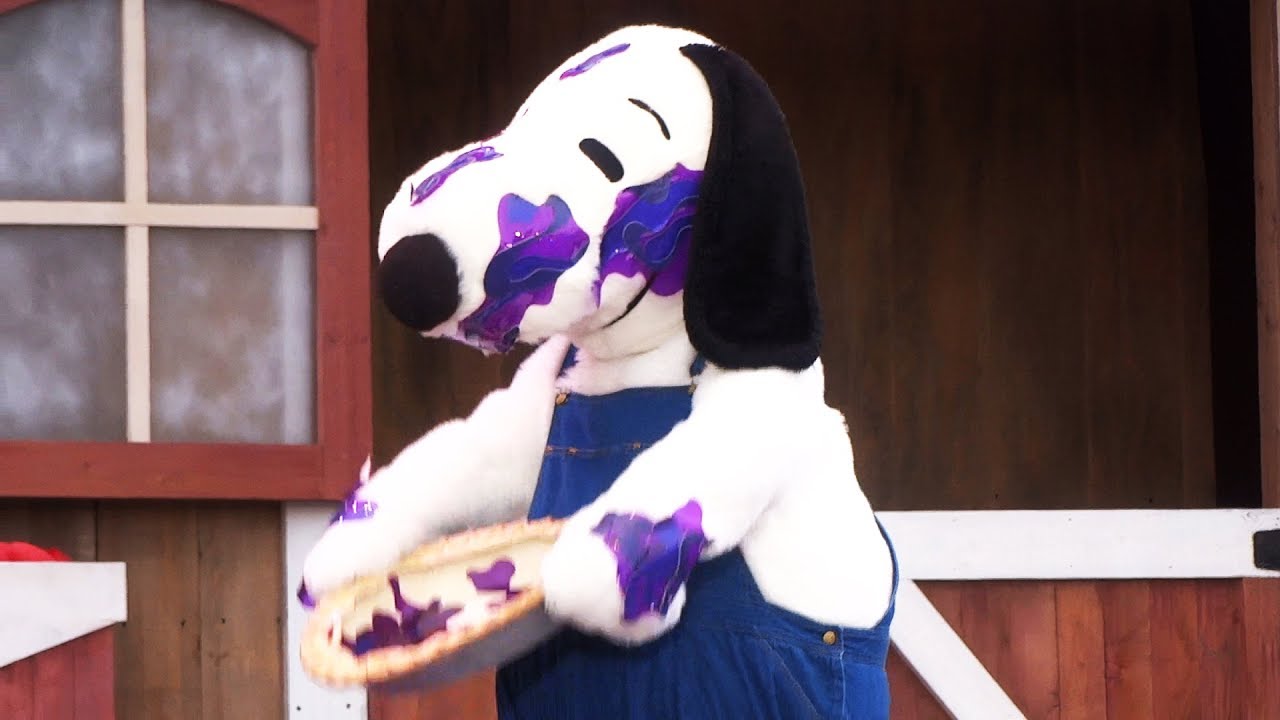 "Snoopy's Boysenberry Jamboree!" FULL SHOW during Boysenberry Festival