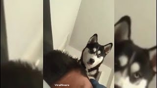 Wake Me Up Like This And Get Smacked (Wholesome)