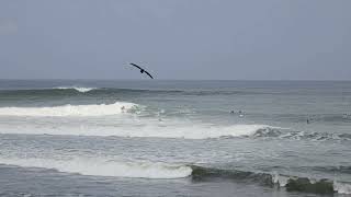 15 July 25 ~ Balian ~ Morning #3