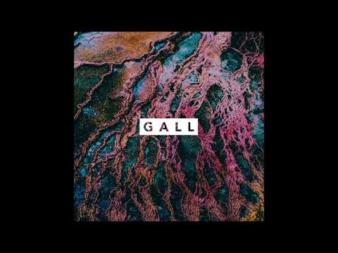 Gall — Gall - 17:21 MIN (Experimental Powerviolence/Noise 2020 - Germany)