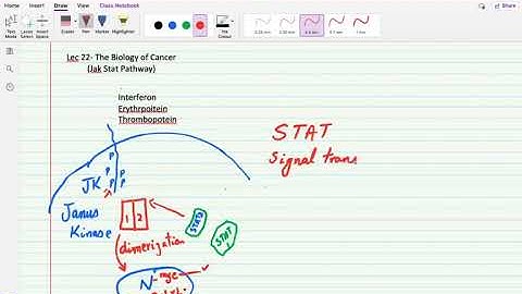 Lec 22: The Biology of Cancer (Jak STAT Pathway-Introduction)
