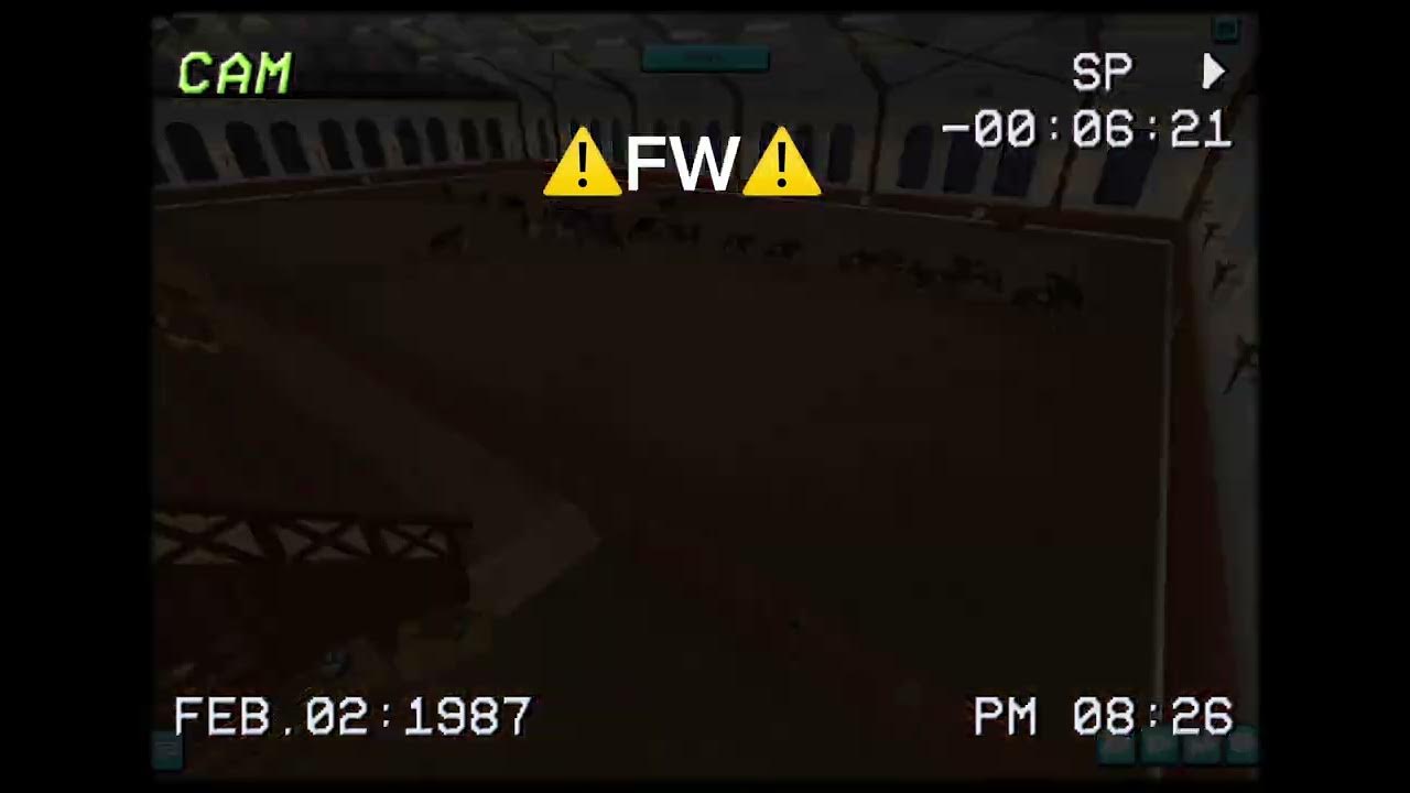 Lights, camera, actions!FW YouTube