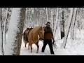 Horseback Riding in Snowy Woods | Equine Therapy