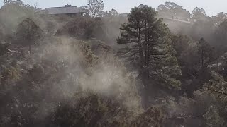 Pollen Explosion in Prescott || ViralHog