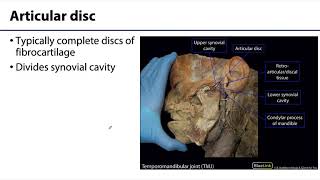 MSK Joints - Synovial Joint Structures