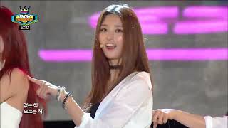 【TVPP】EXID - UP&DOWN, 이엑스아이디 - 위 아래 @ Show Champion Live