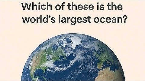 jeelu is live which of these is the world