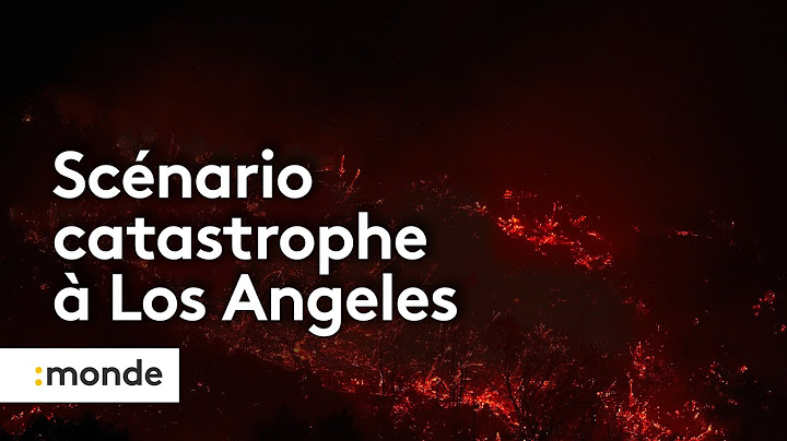 Los Angeles : un scénario catastrophe et des incendies indomptables