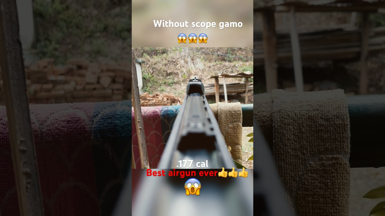 Iron sight gamo shot