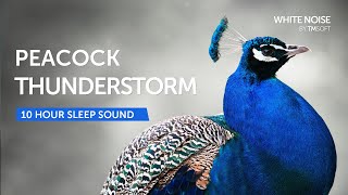 Peacock Thunderstorm Sleep Sound - 10 Hours - Black Screen screenshot 5
