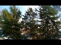 г. Каскелен, съемка LG 360 cam (3)