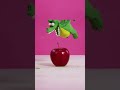 CLAY DRAGON VS APPLE! Animation in Real Life (Animation Meme) #boyanddragon #shorts