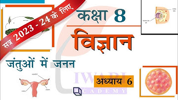 NCERT Solutions for Class 8 Science Chapter 6 जंतुओं में जनन Explanation in Hindi Medium.