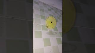 Ventilador De Parede Ventisol Vop Mx 60Cm Amalero Do Mercado Top Móveis