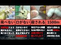 【知ってる？】1500mの糸を吐くカイコの一生